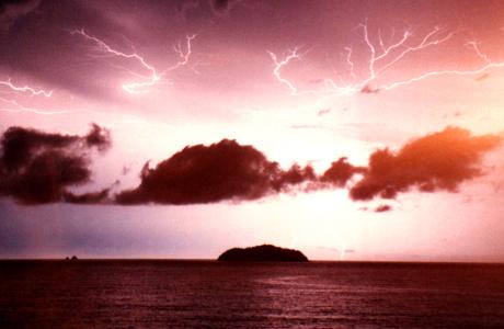 Brasilian Lightning Opt